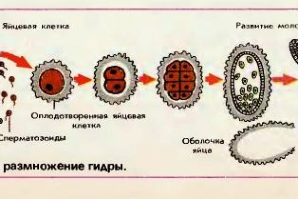 Ссылка официальный сайт кракен